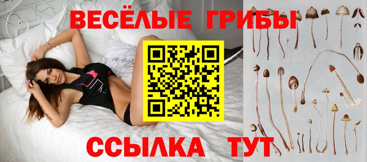 Псилоцибиновые грибы ЛСД Саров